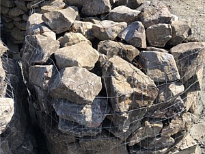 Boulders / Fieldstone Steppers