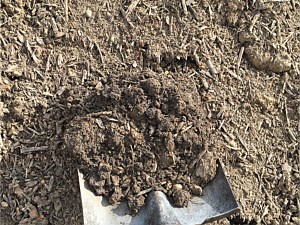 Piedmont Screened Topsoil