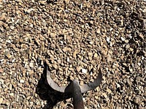 TN Brown Pea Gravel 1/4" – 1/2"